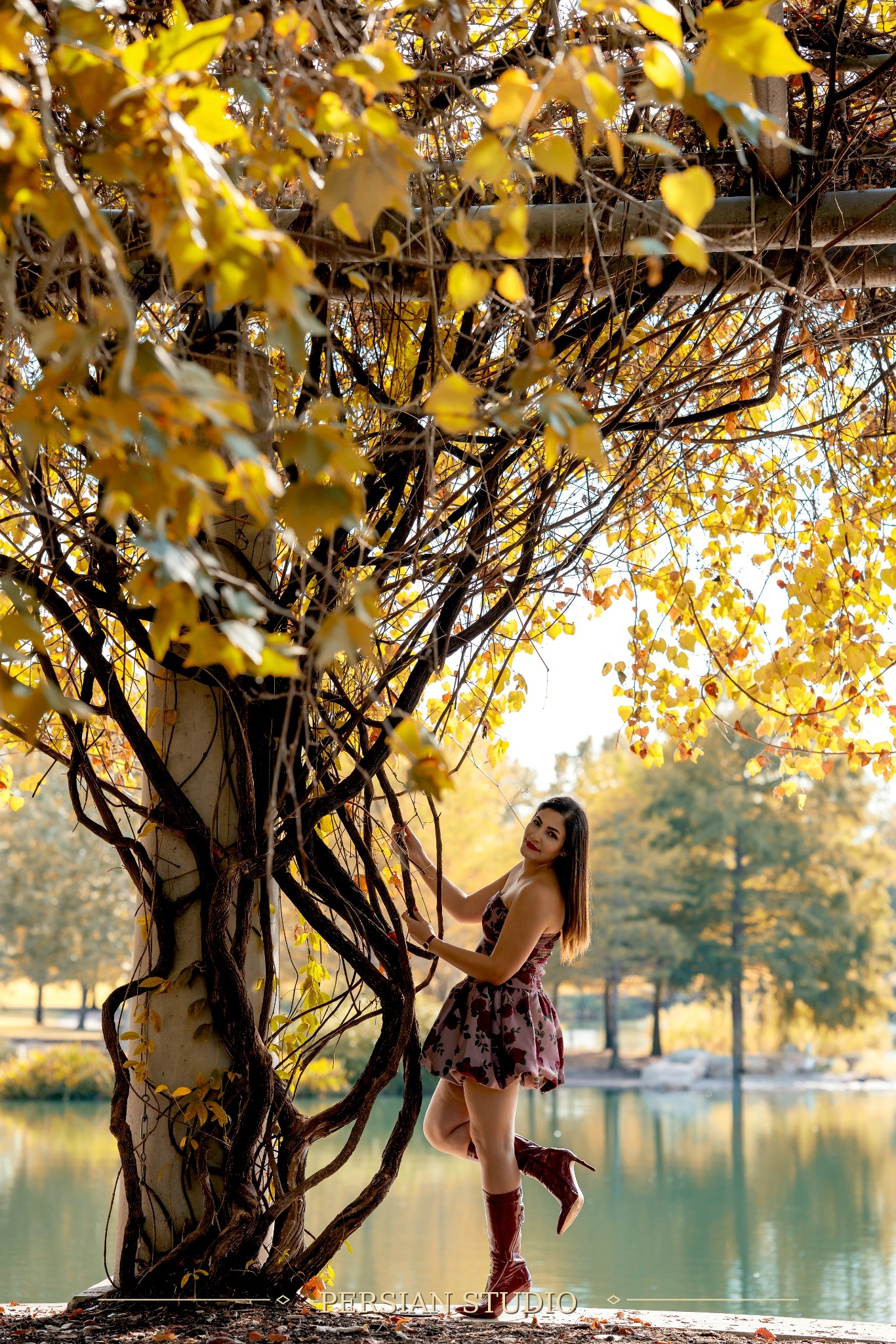 Autumn Light