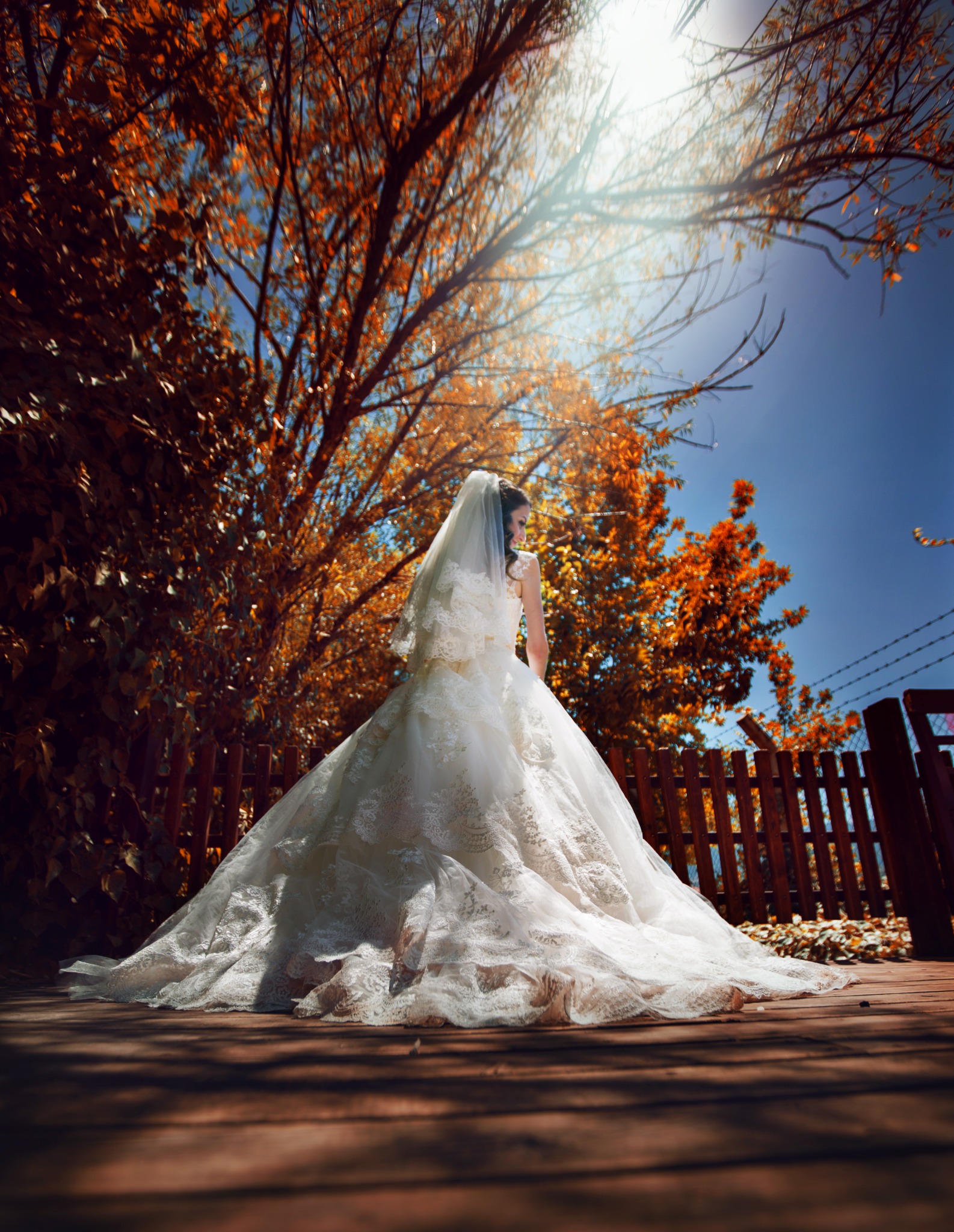 Autumn Reverie