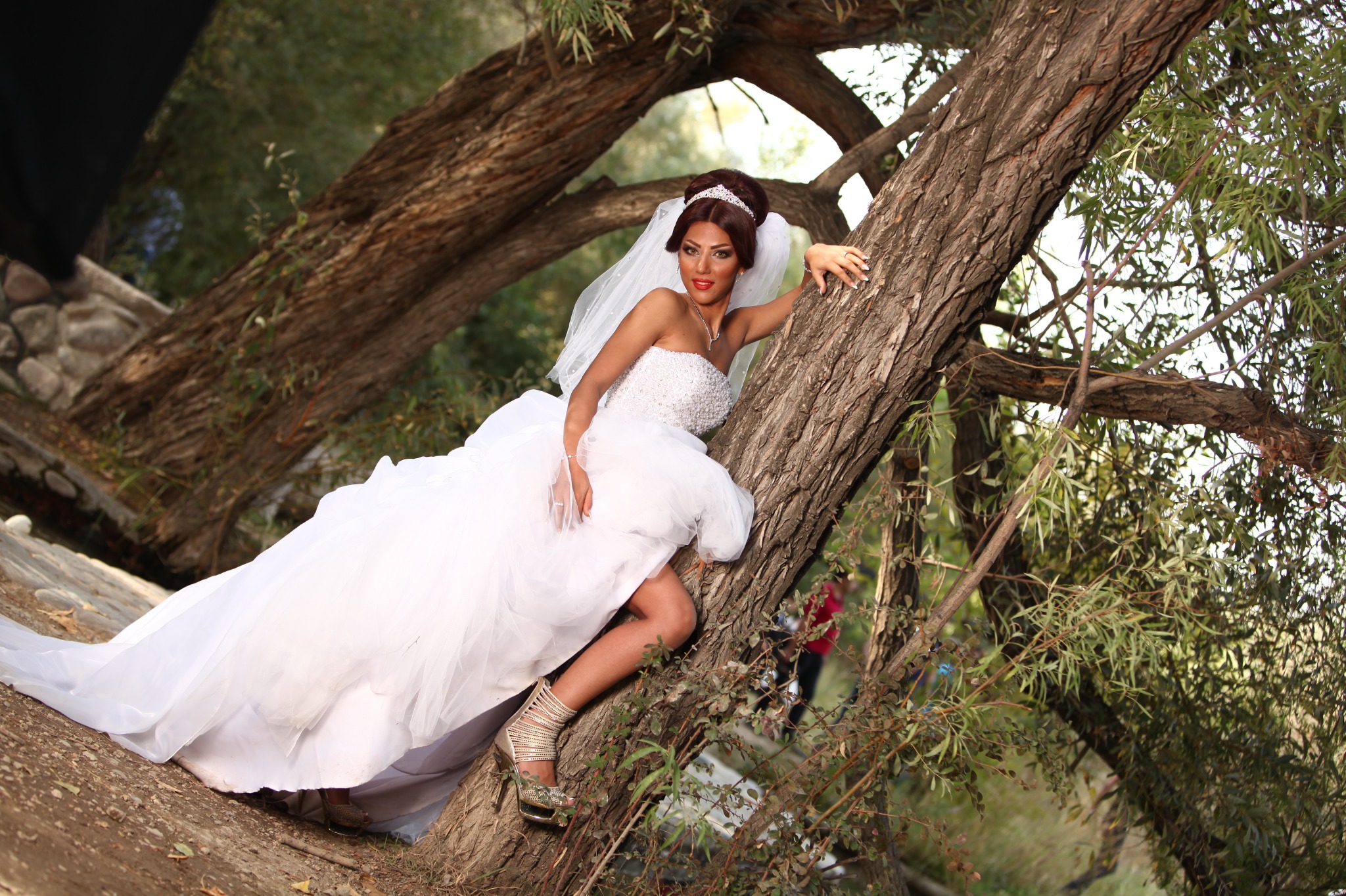 Wildwood Bride